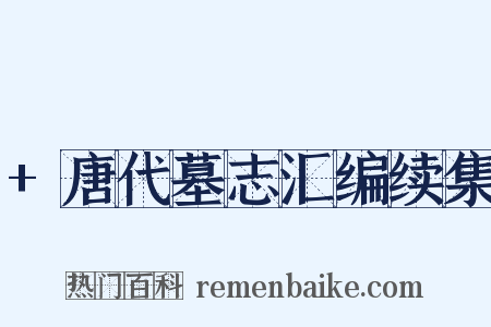 +唐代墓志汇编续集是什么意思的图片